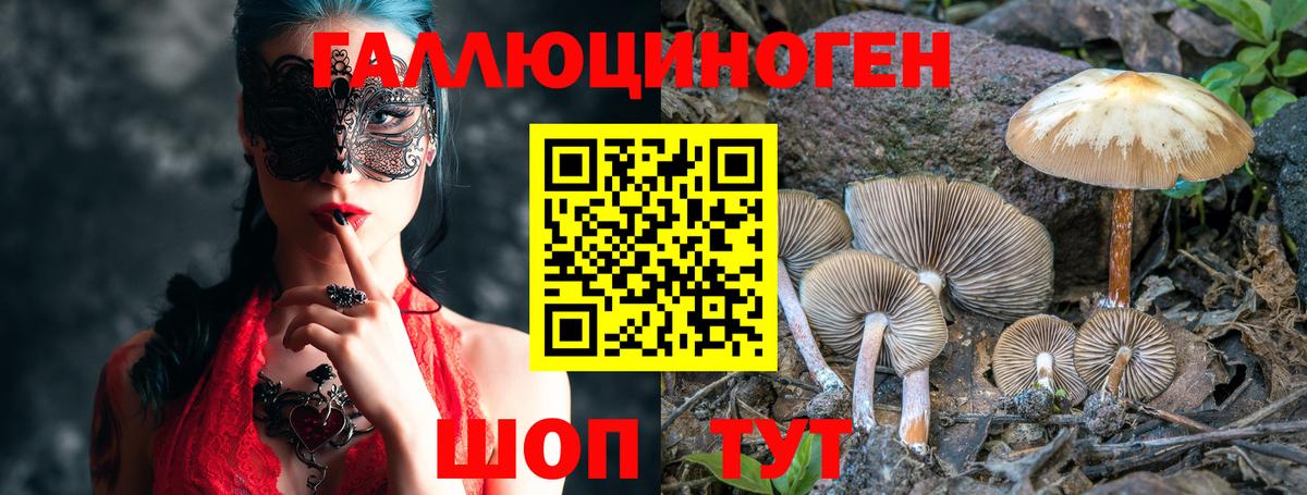 Псилоцибиновые грибы мухоморы Юрга