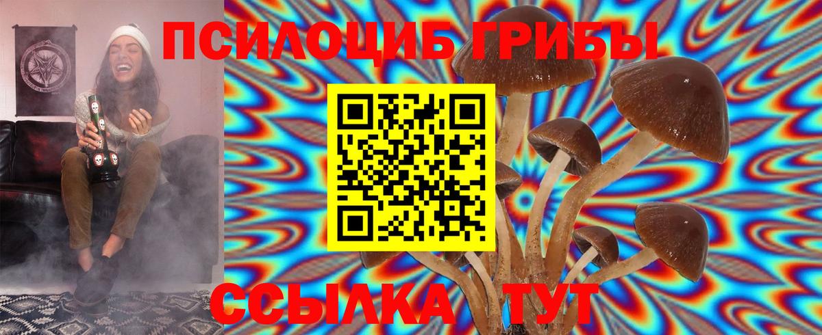 Юрга  Псилоцибиновые грибы GOLDEN TEACHER  Вход с VPN 
